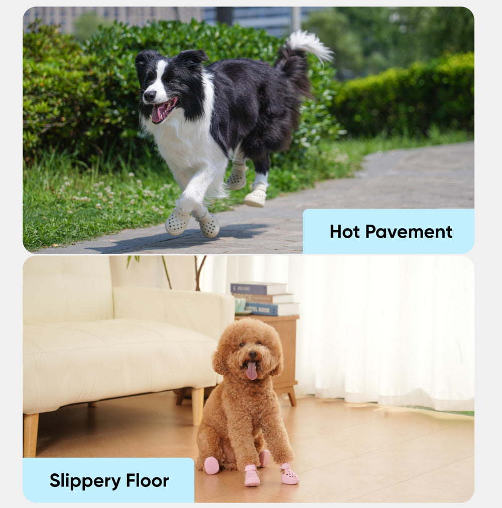 PawPosh zapatos perros disponibles en tallas pequena mediana grande.