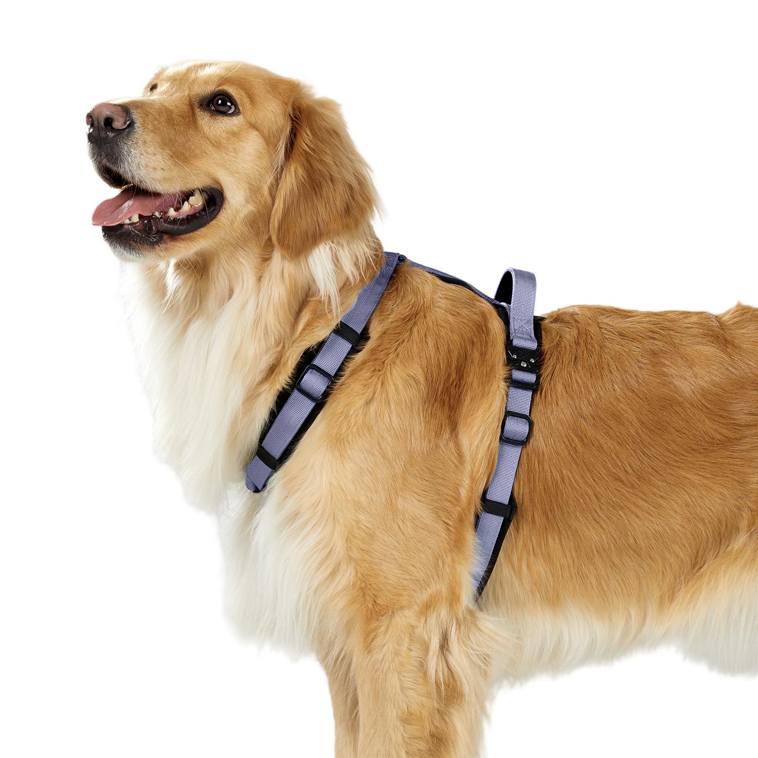 Arnés PAWS PASSION XL ajuste seguro para evitar escapes