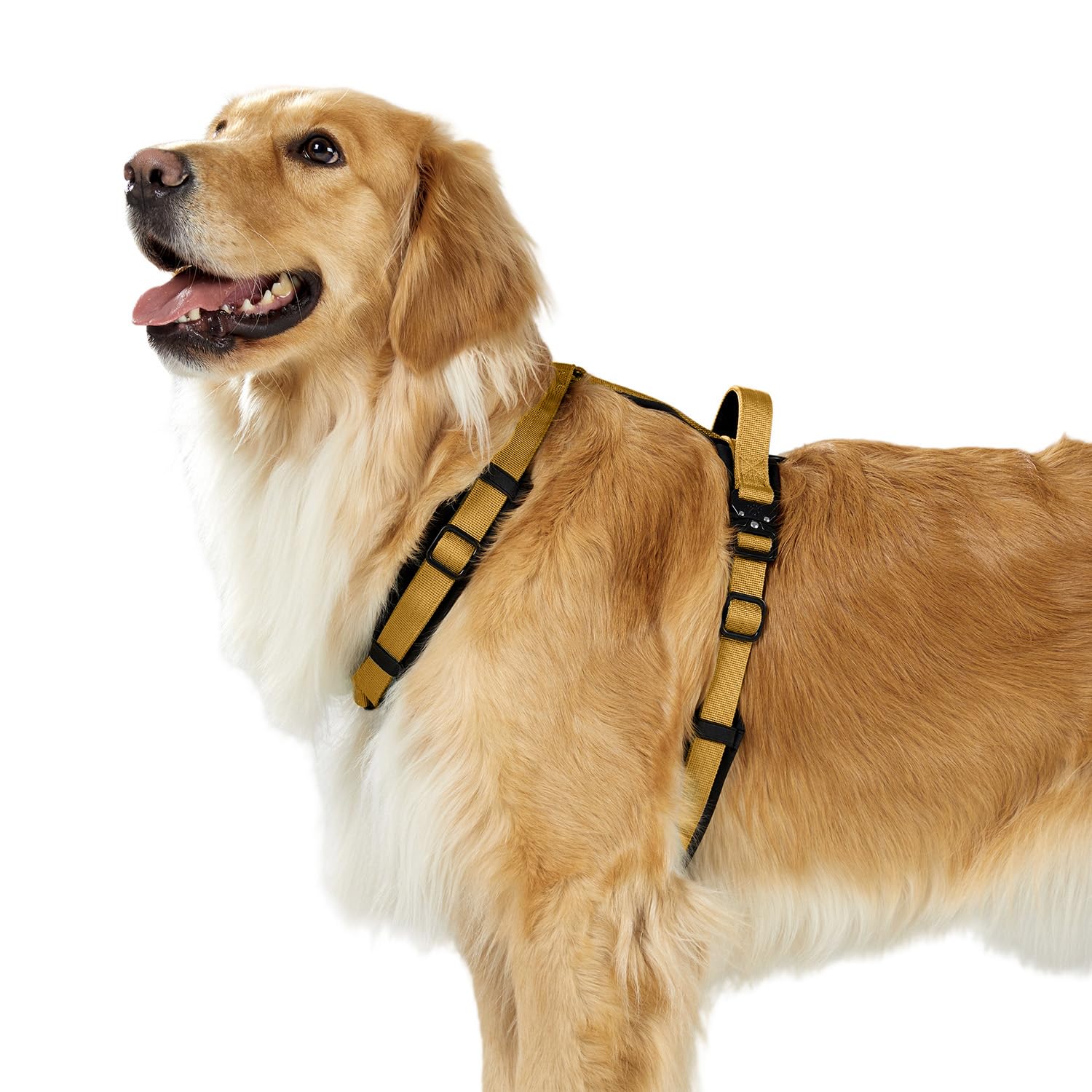 PAWS PASSION XL tirantes ajustables para un ajuste personalizado