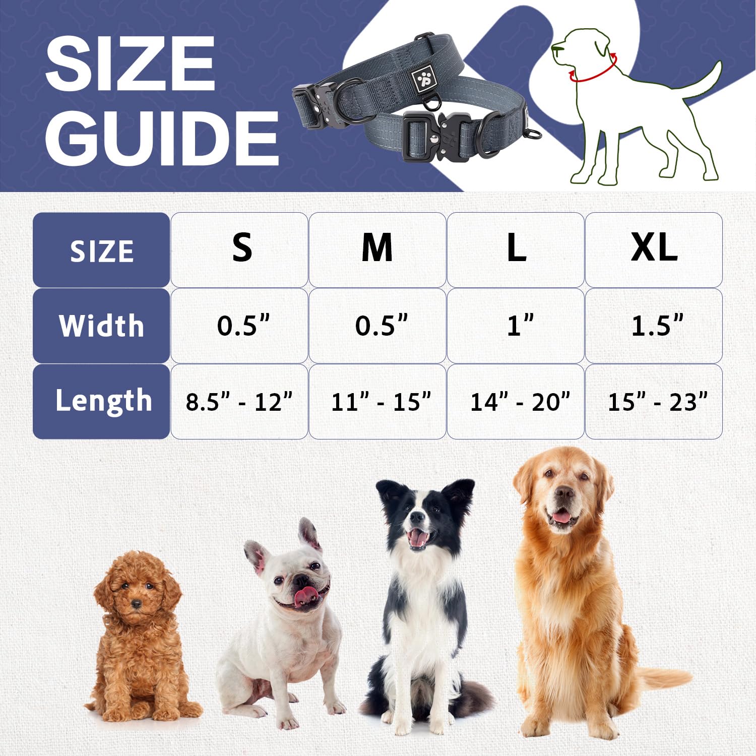 PAWS PASSION collar con etiqueta de emergencia para localizar al perro.