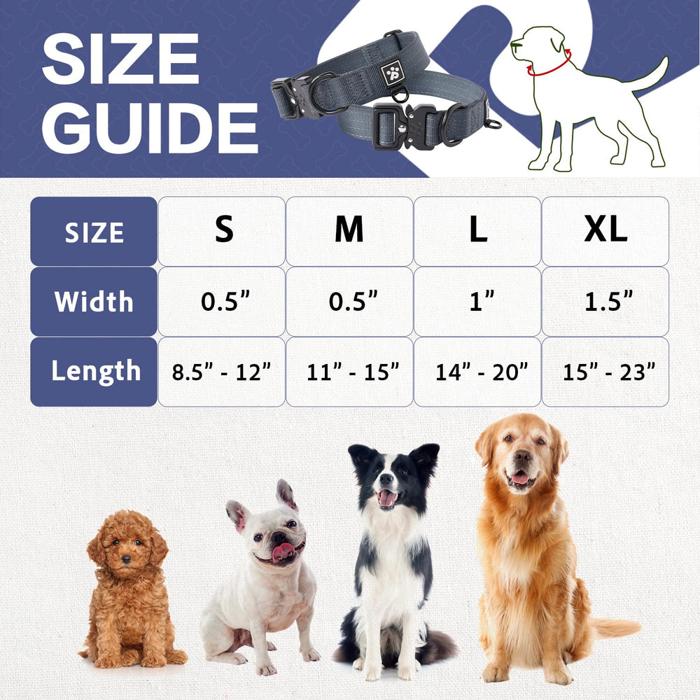 PAWS PASSION collar con etiqueta de emergencia para localizar al perro.