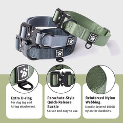 PAWS PASSION collar grande con anilla extra para etiqueta o información de contacto.