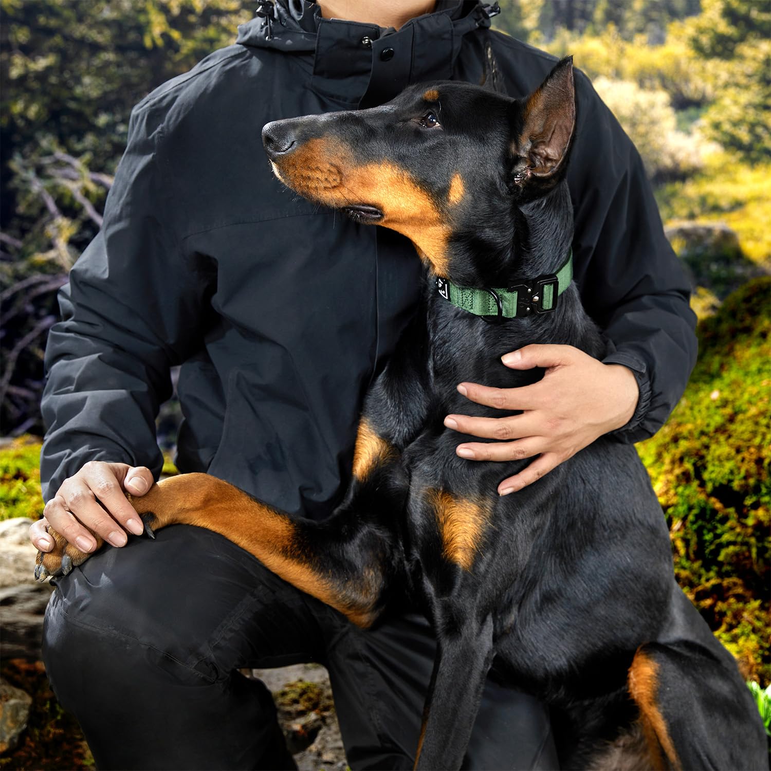 PAWS PASSION collar grande, diseño resistente para entrenamiento y actividades al aire libre.
