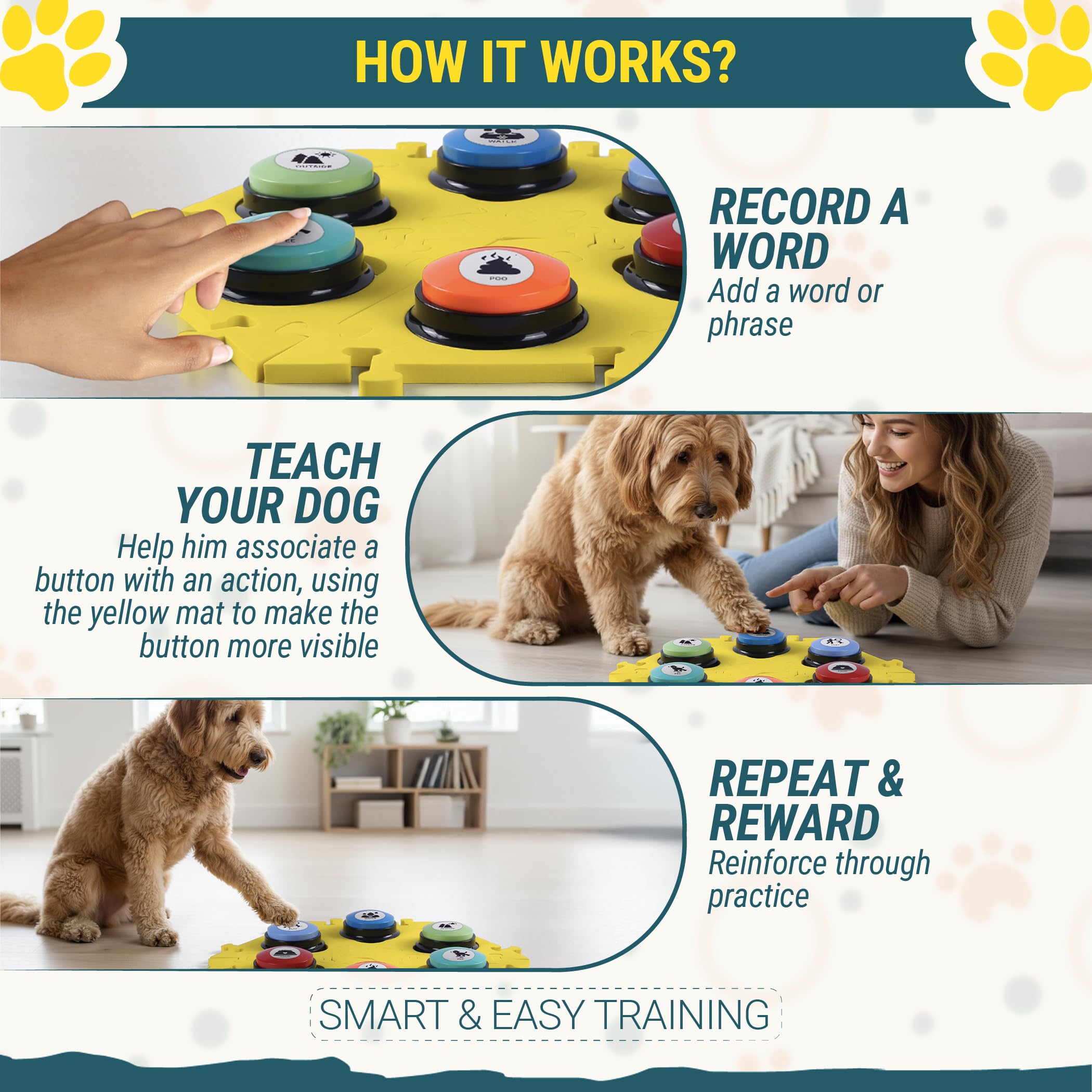 Paws Shield guía rápida para iniciar el entrenamiento de forma sencilla.