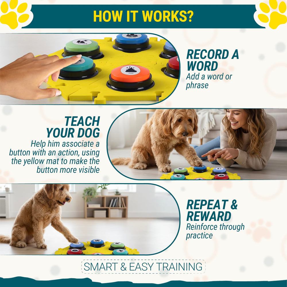 Paws Shield guía rápida para iniciar el entrenamiento de forma sencilla.