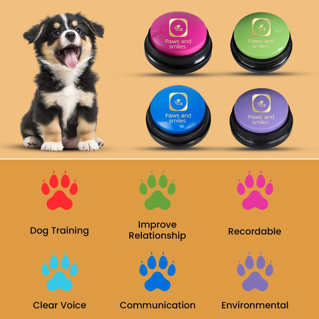 Paws & Smiles diversión familiar con juegos y bromas