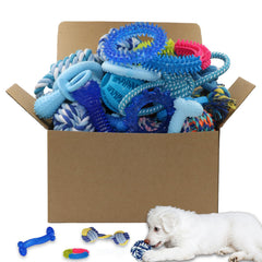 Juguete de cuerda de PawsAion para cachorros