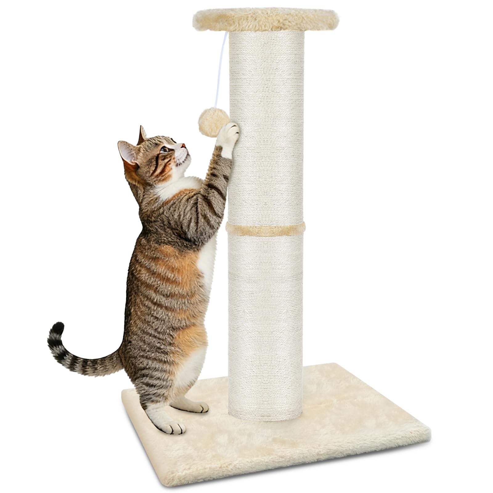 PAWSCRAT poste rascador 32 pulgadas con bolas colgantes para rascar