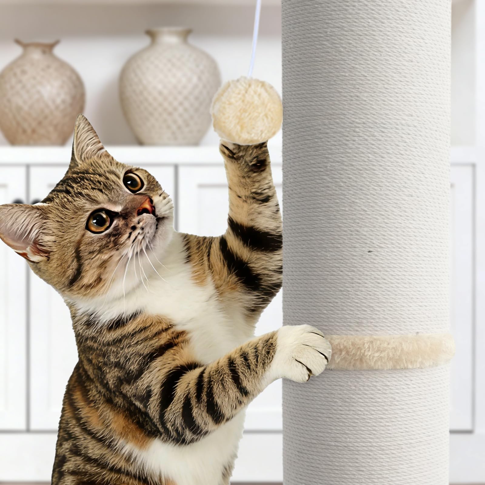 PAWSCRAT servicio posventa dedicado para resolver dudas rápidamente