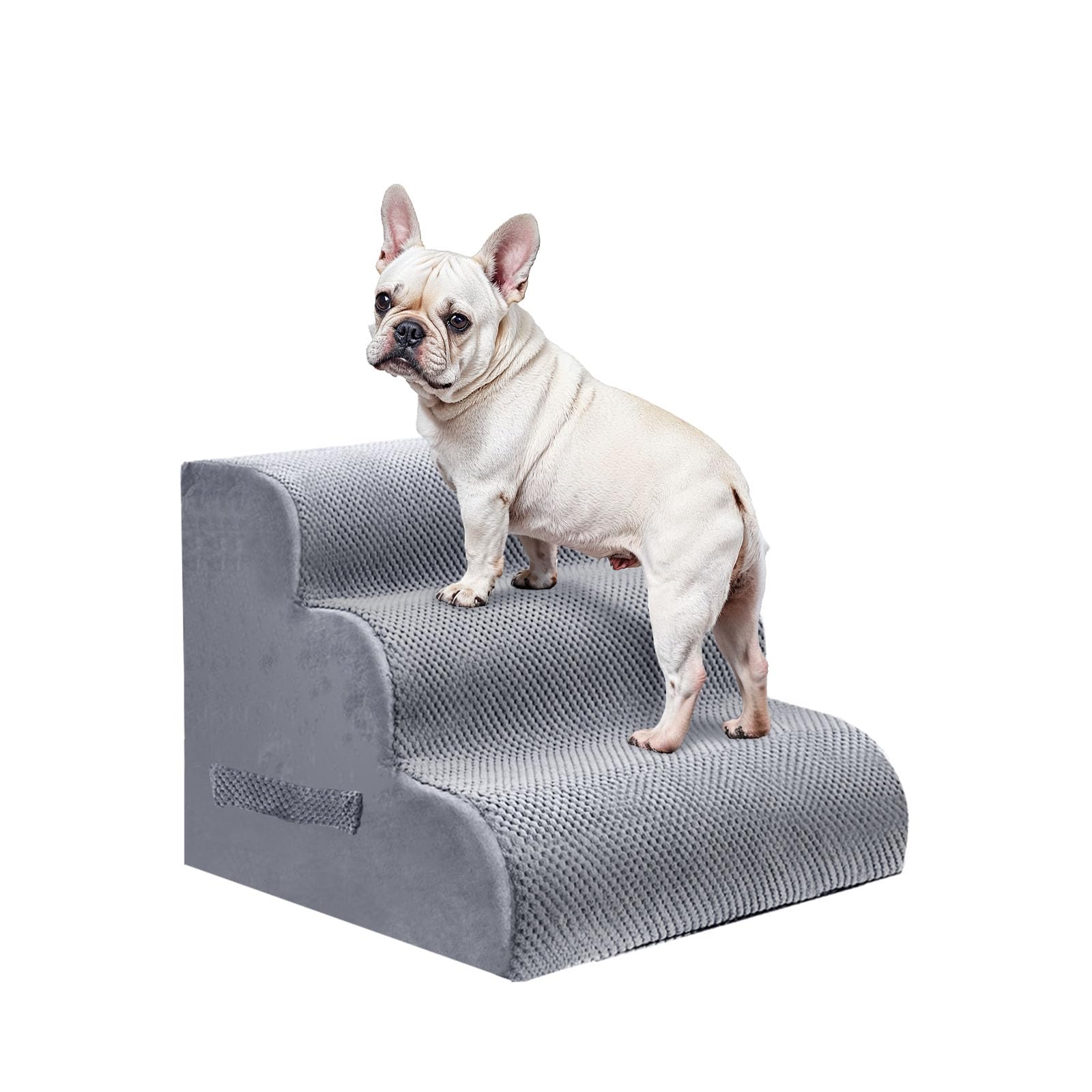 PAWSCRAT Confort y uso para perros y gatos