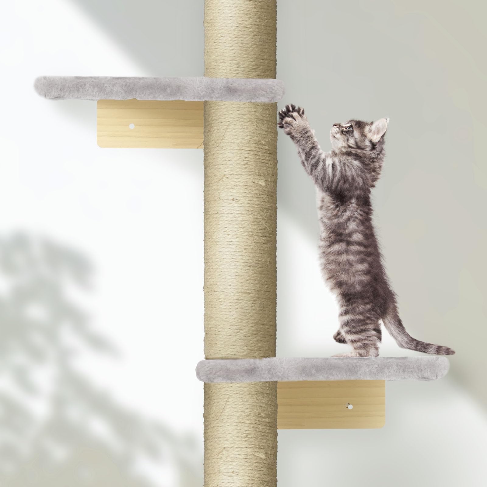 PAWSCRAT Gato usando el árbol de pared.