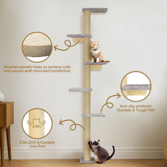PAWSCRAT Plataformas amplias para gatos de todos tamaños.