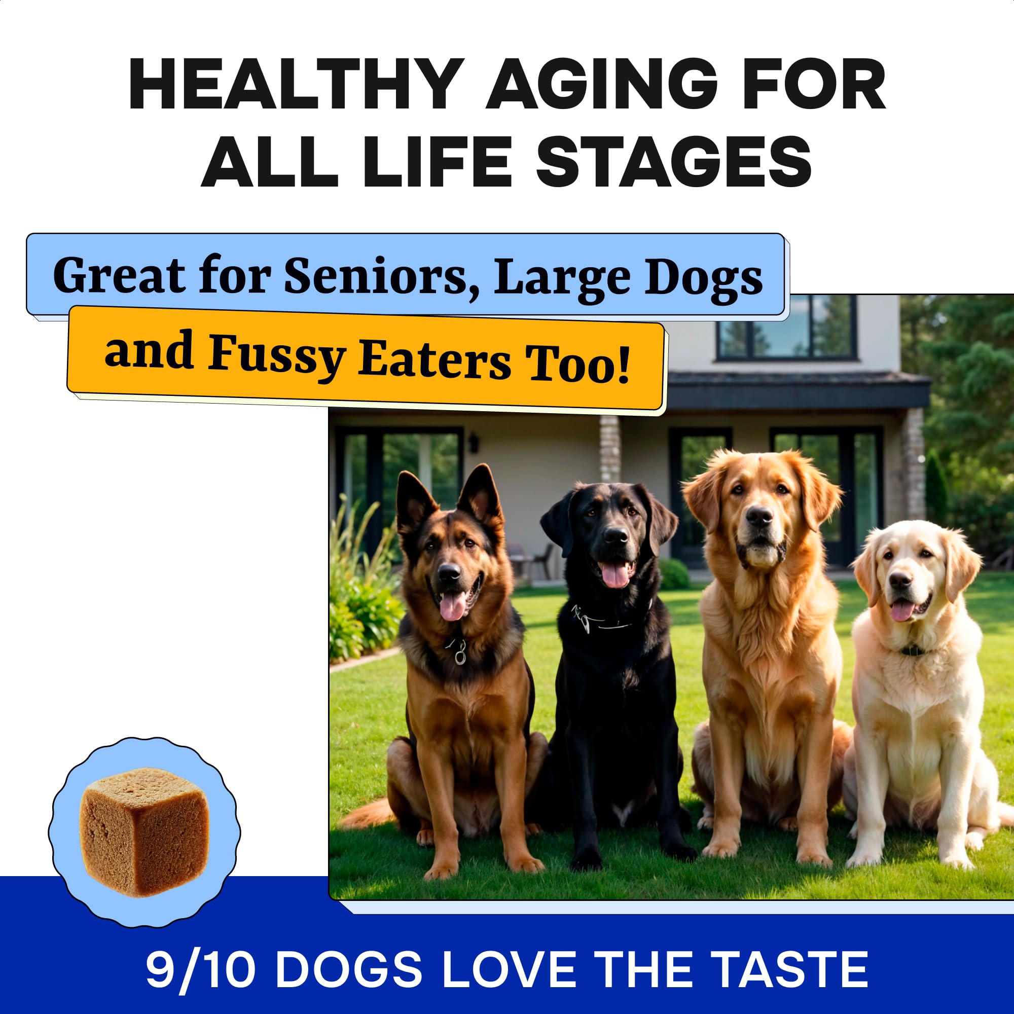 Pawsential: apoyo para envejecimiento saludable y vitalidad pelaje.