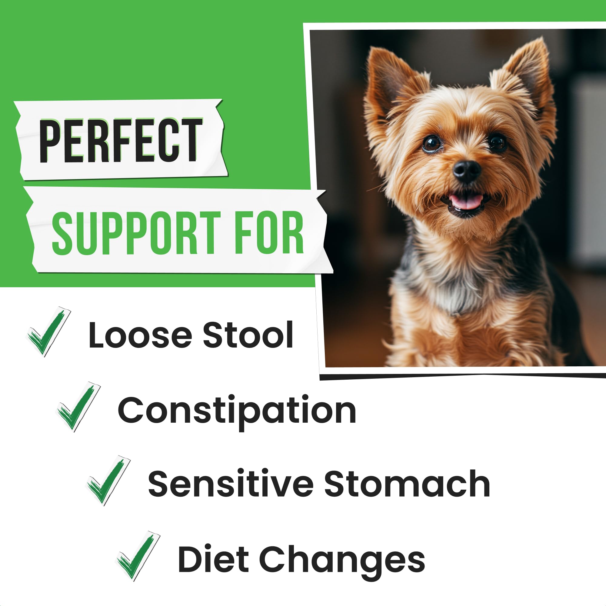 Pawsential Calabaza Topper Premium, añade sabor y fibra a la comida.