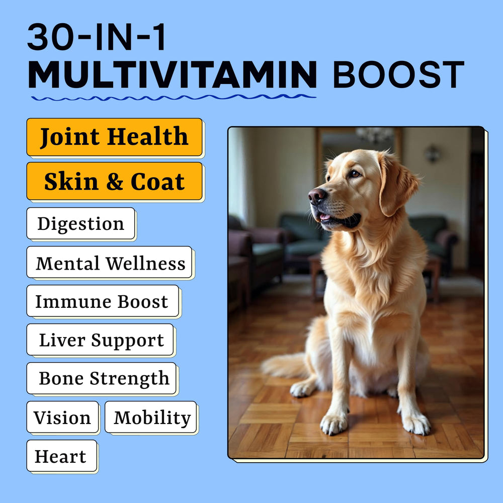 Pawsential: cuidado de piel y manto gracias a probióticos y vitamina E.