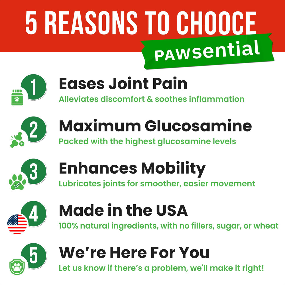 Pawsential ingredientes-naturales: fórmula con glucosamina y condroitina para movilidad.