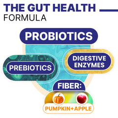 composición clave de Pawsential con probióticos y enzimas para equilibrio intestinal
