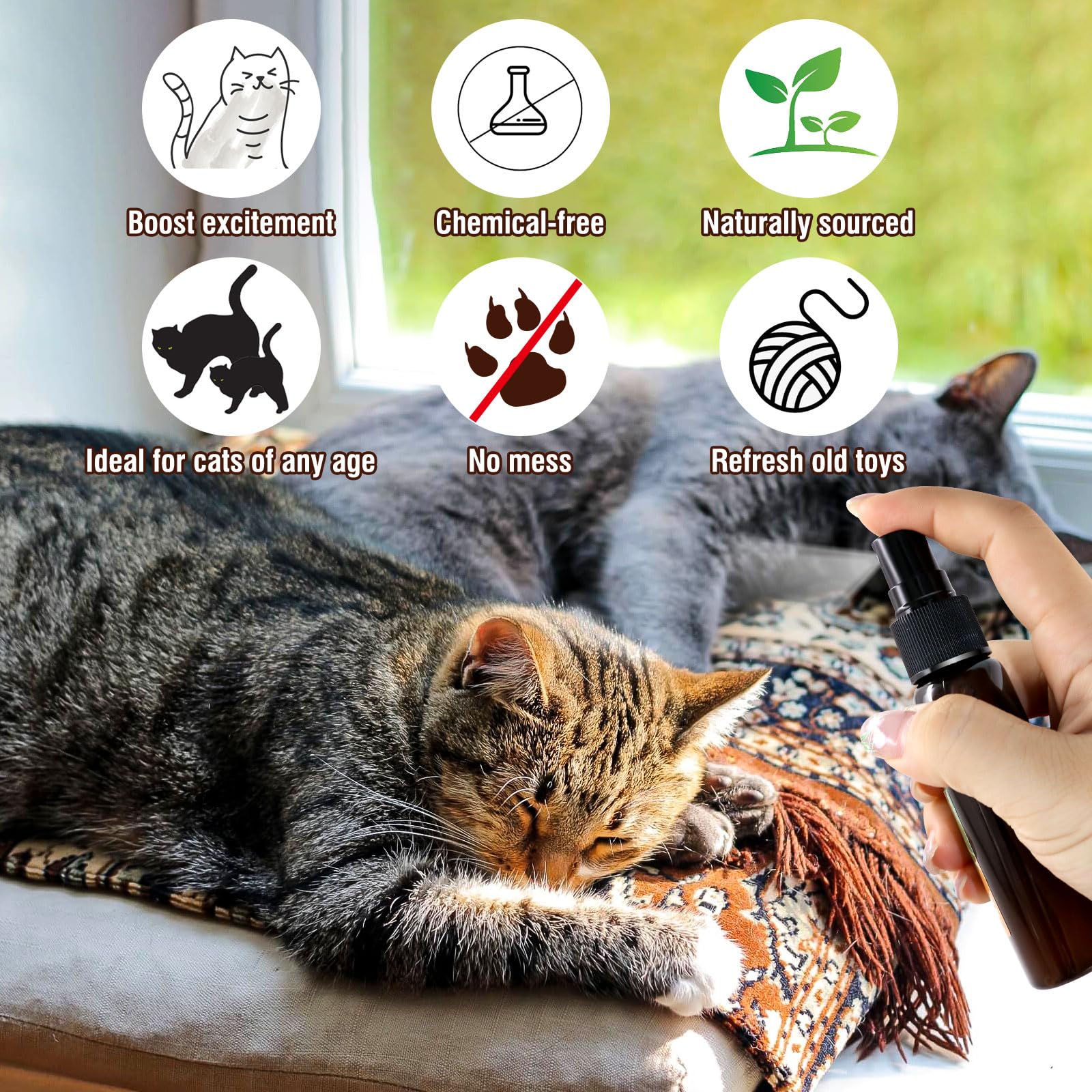 Spray de hierba gatera con silvervine de PawsGear, mayor atracción para gatos.
