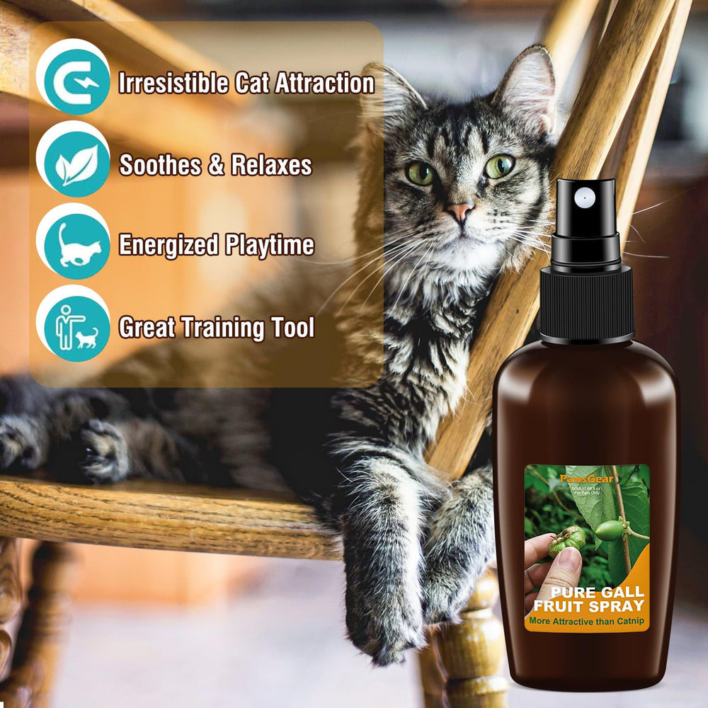 Aplicación fácil de PawsGear para sesiones de juego espontáneas.
