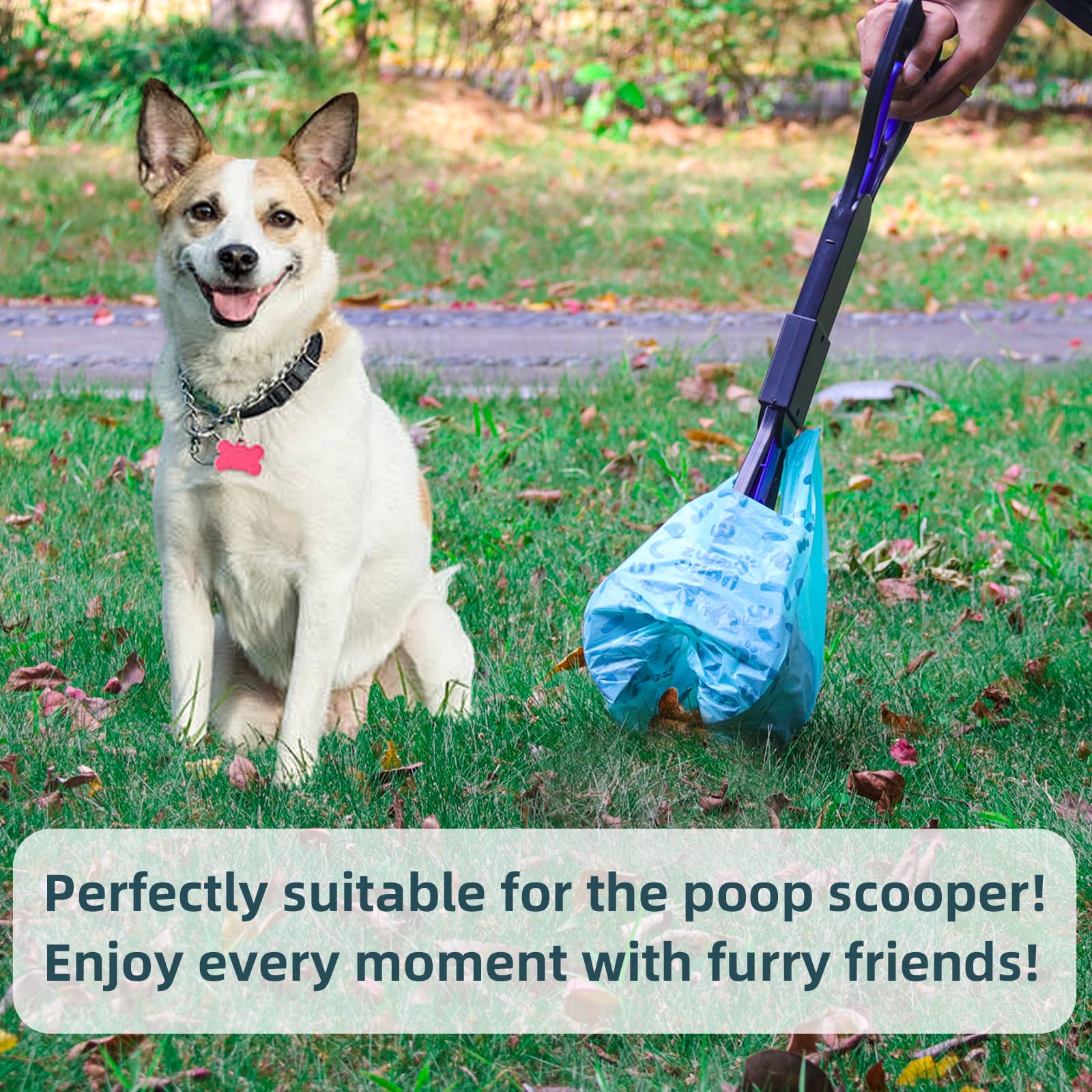 PAWSHOLIC control de olor con lavanda para uso diario en casa.