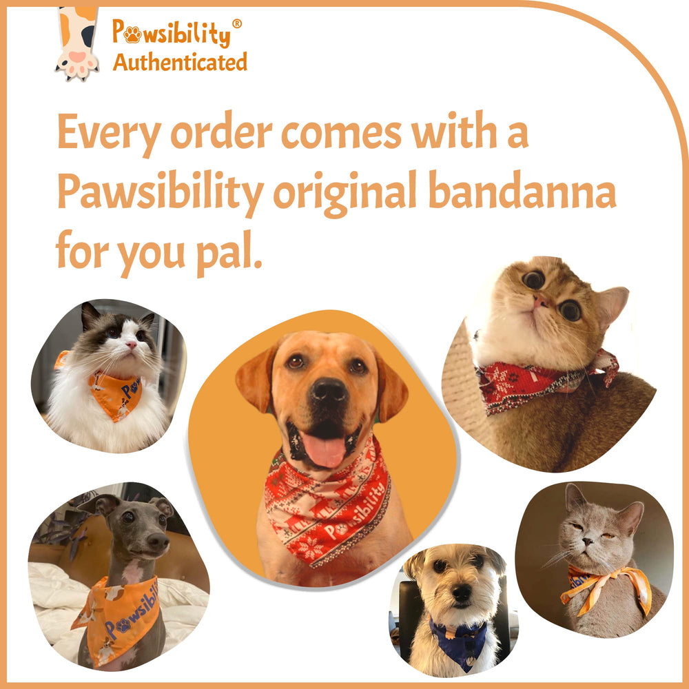 Pawsibility diseño rosa, ideal para uso doméstico.