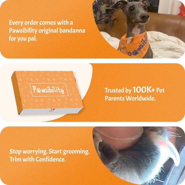 Diseño ergonómico de Pawsibility para sesiones de cuidado suaves.
