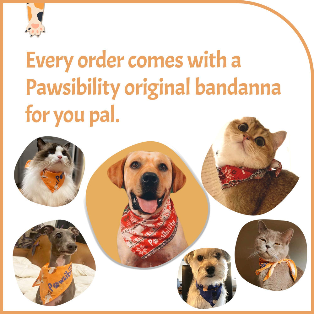 Pawsibility presentacion empaque elegante para guardar o regalar la herramienta.