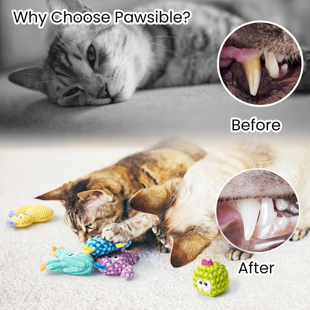 Pawsible colores vibrantes de cactus para captar atención y estimular el juego.