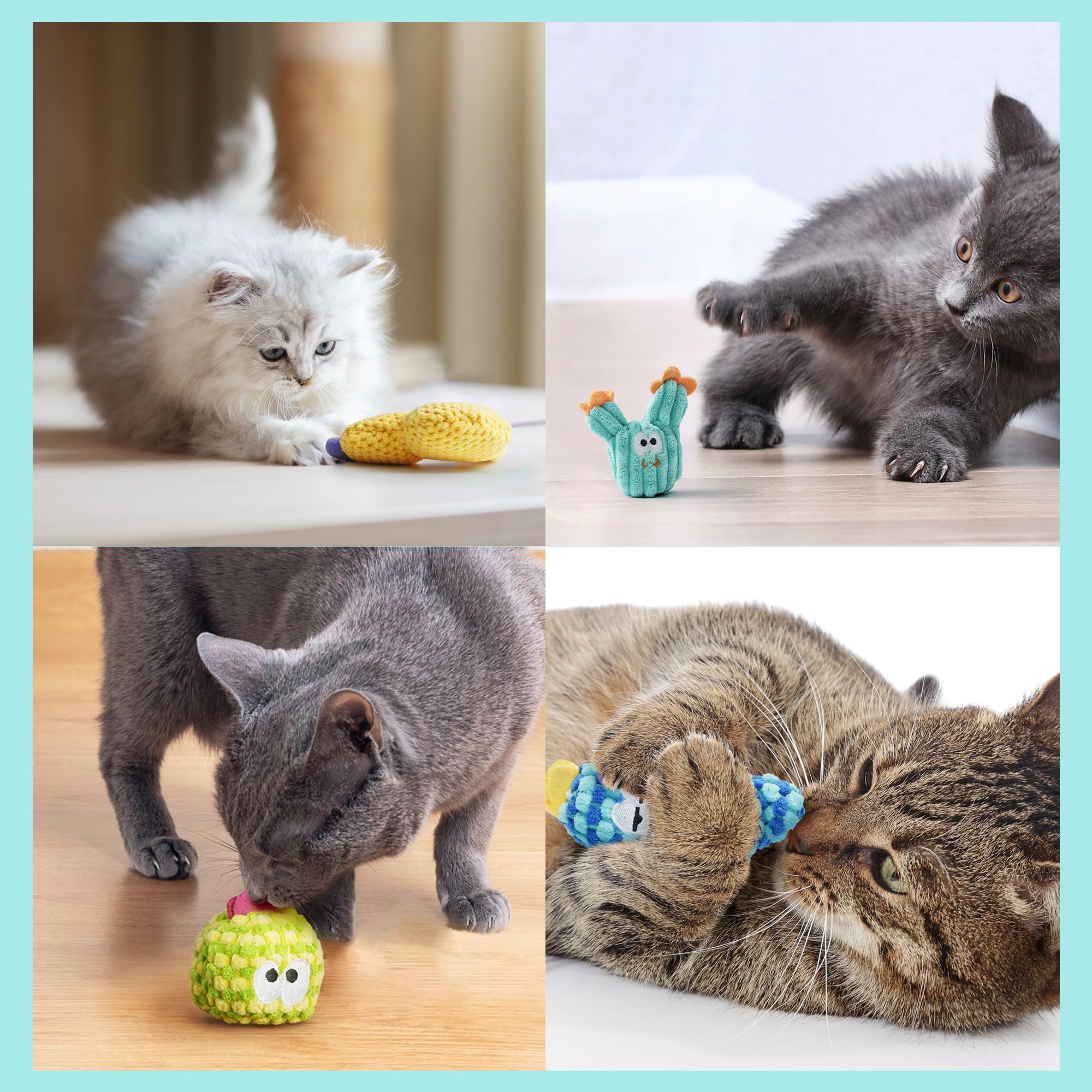 Pawsible diseño ideal para gatos de interior con colores atractivos.