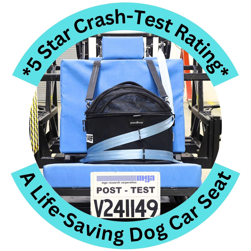 pawsincar-tapa-superior-coche-perro: protege a tu mascota dentro del coche