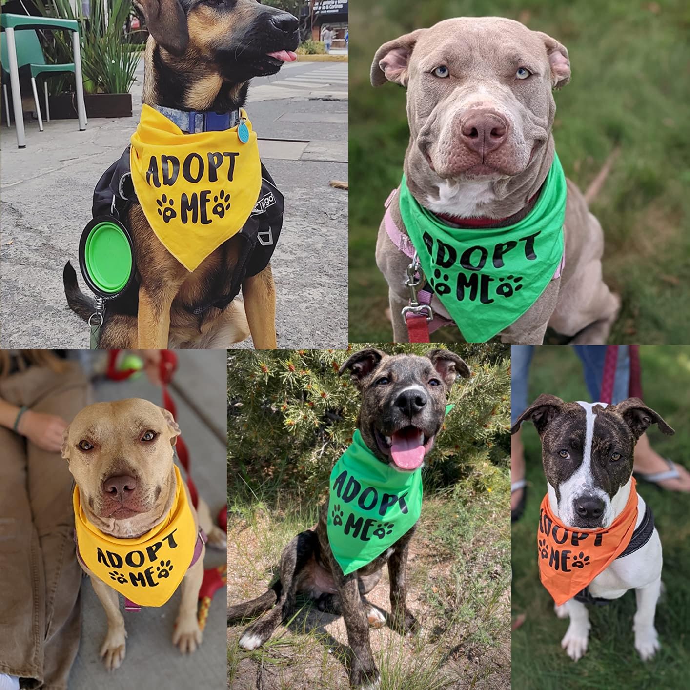 Pawskido bandana para adopción en paseos, diseño vistoso.