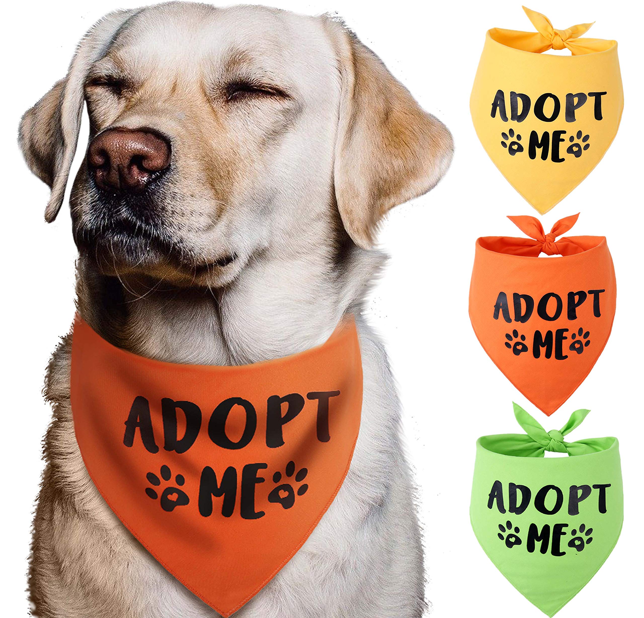 Pawskido bandana de tres colores brillantes para perros, ideal para salidas.