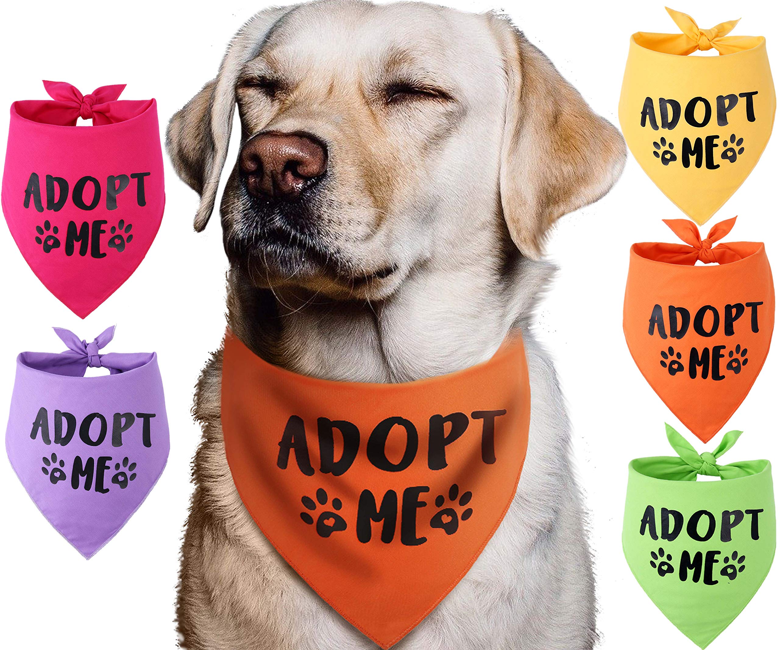 Pawskido Adopt Me Bandanas en cinco colores brillantes para perros felices.