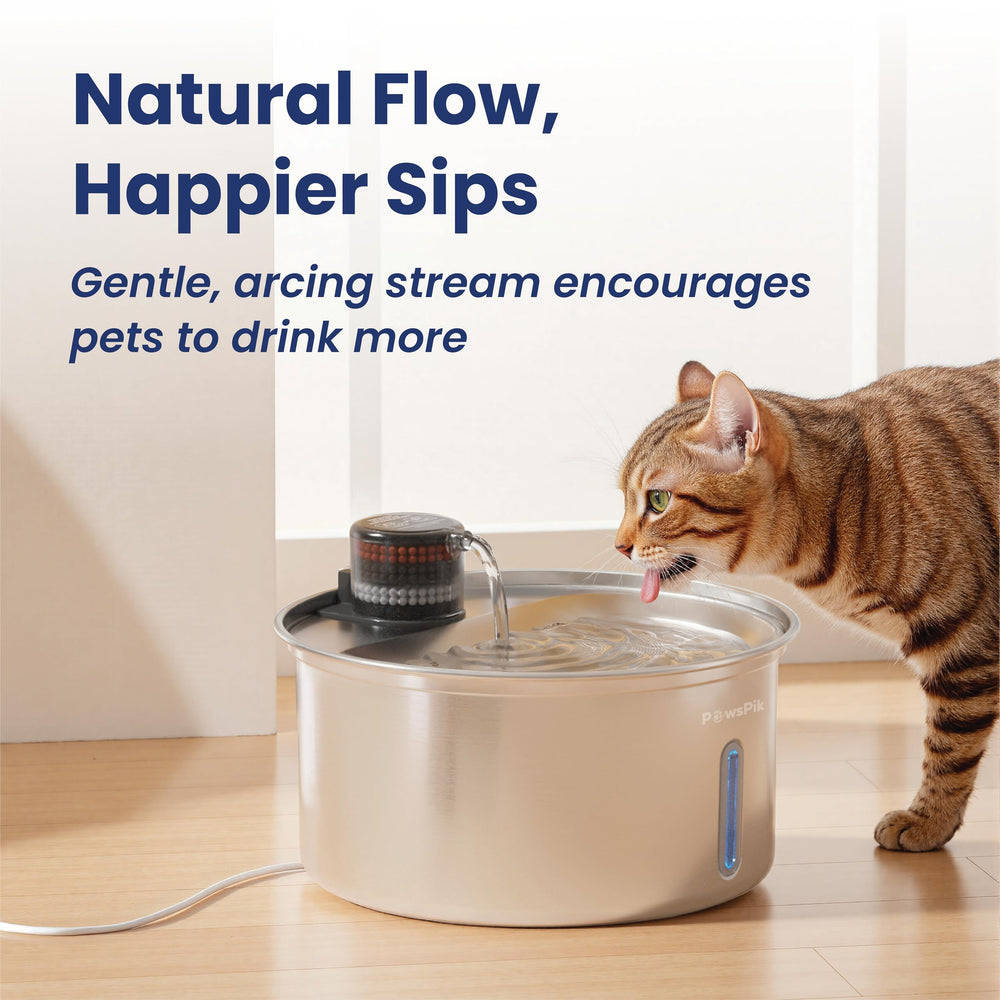 PAWSPIK PureFlow Max: reserva de emergencia de 3.2 litros.