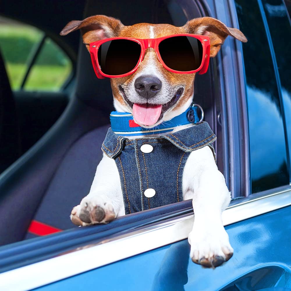 Pawstrip lavado fácil de chaqueta canina apta para lavadora