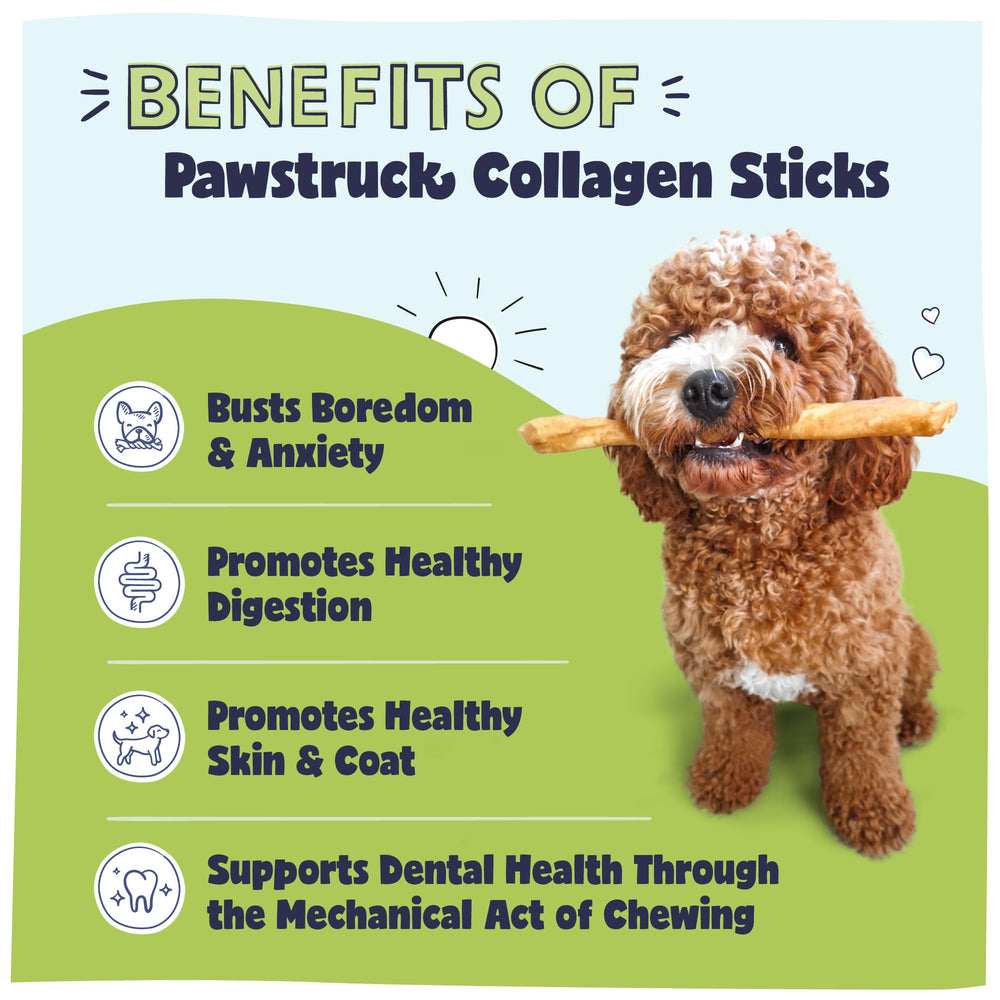 Empaque Pawstruck 5 unidades, snack natural para perros