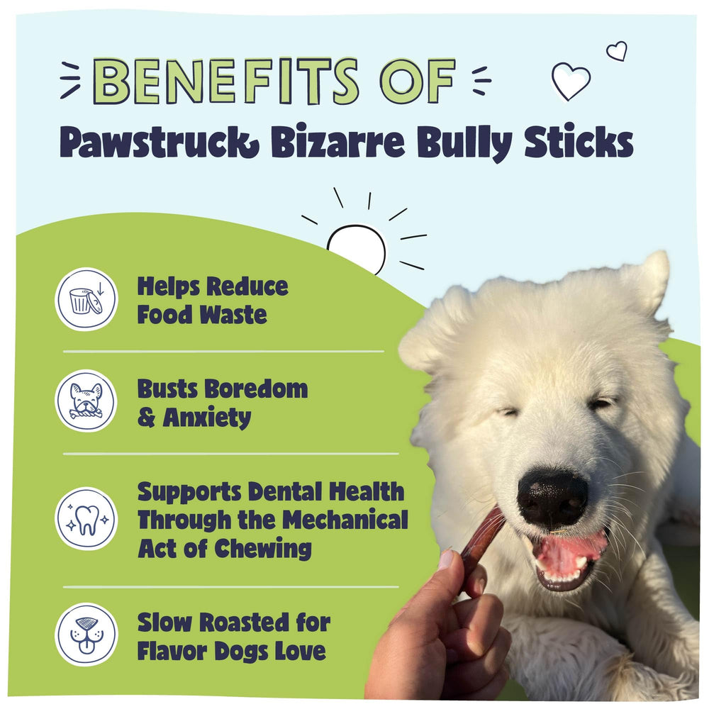Pawstruck Bizarre Bully Sticks en bolsa de 8 oz, peso estable.