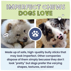 Pawstruck Bizarre Bully Sticks sin olor ofrece apoyo en limpieza dental potencial.