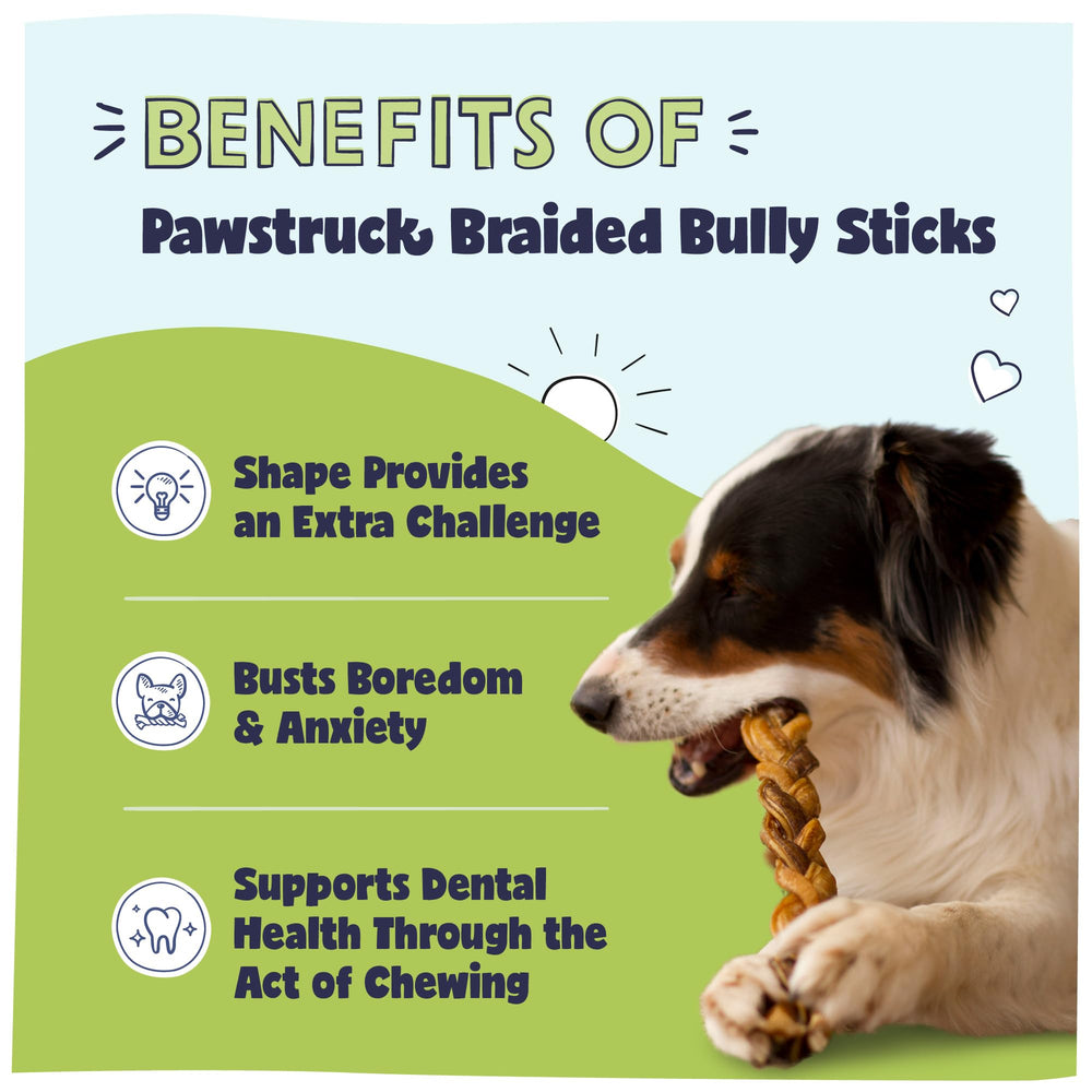 Pawstruck Bully Sticks de alta durabilidad para perros masticadores intensos.