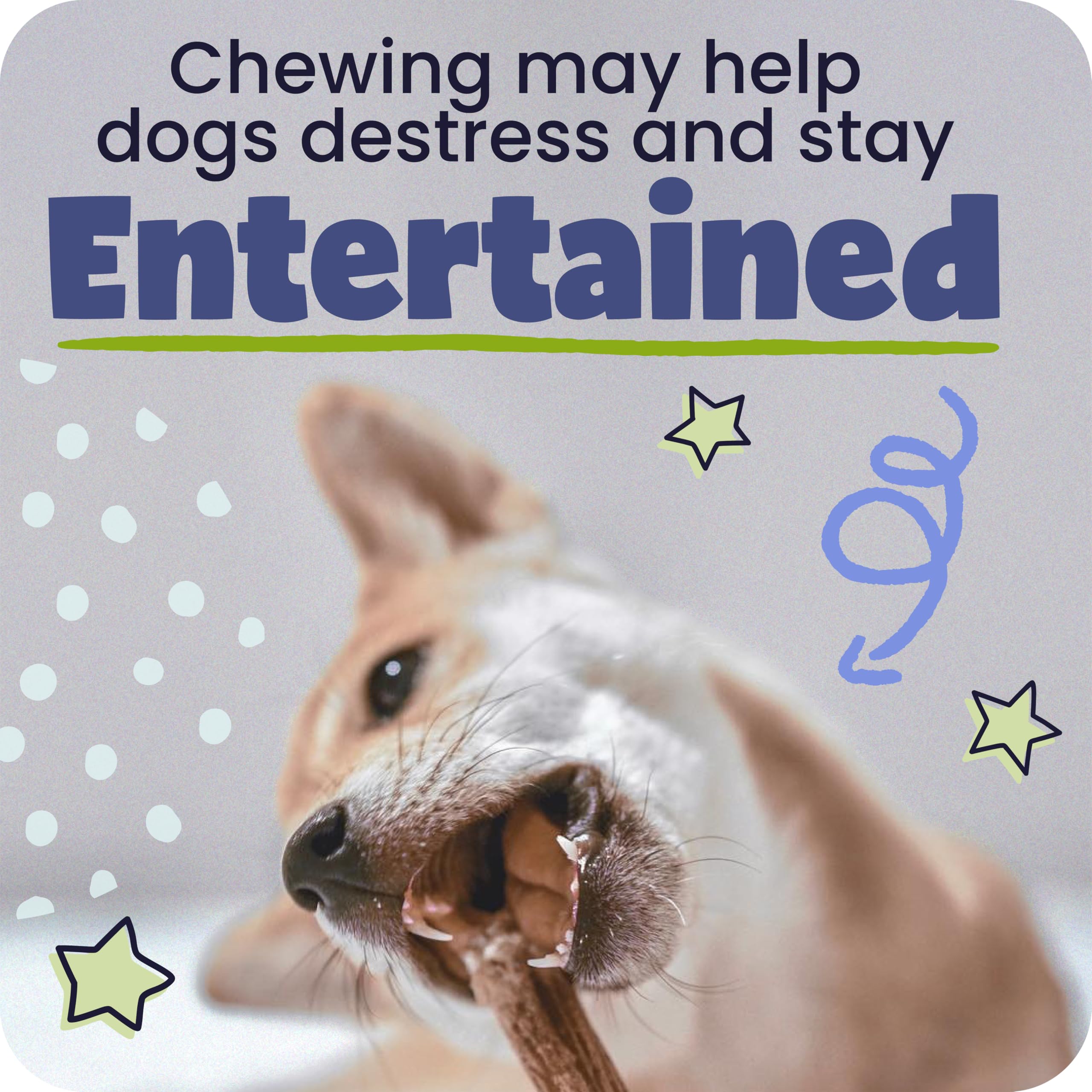 Pawstruck cuidado dental natural, masticación suave para encías.