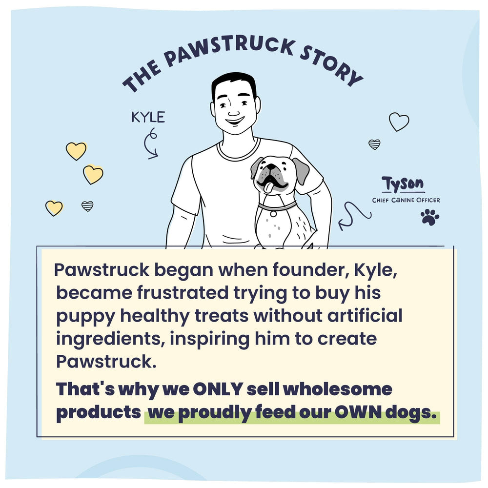 Pawstruck entretenimiento prolongado para perros activos.