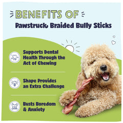 Pawstruck Natural, palitos de res trenzados, con ingrediente único para una merienda natural.