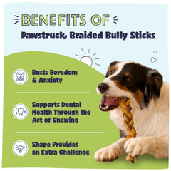 Pawstruck palitos bully trenzados de 9 pulgadas en acción para mantener ocupados a perros