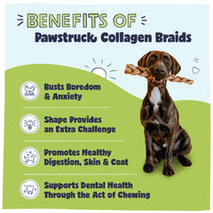 Pawstruck paquete de 3 mechas de colageno para perros, conveniencia