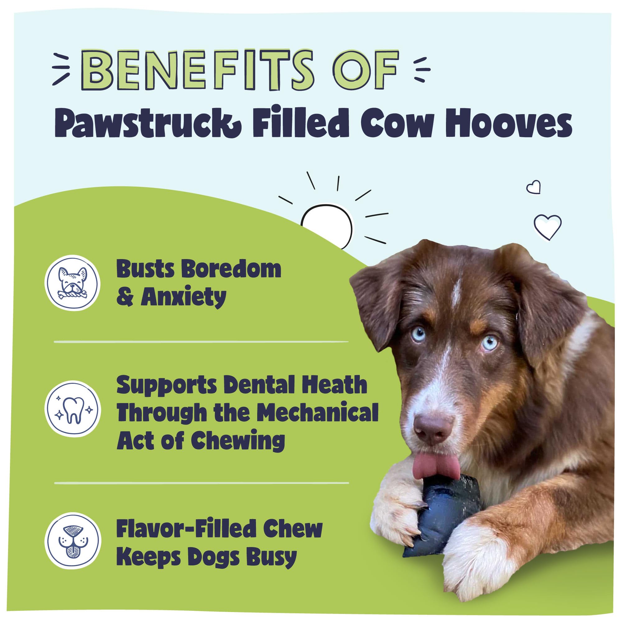 Pawstruck Perro mordisqueando hueso de vaca, una opción dental duradera.