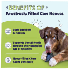 Pawstruck Perro mordisqueando hueso de vaca, una opción dental duradera.