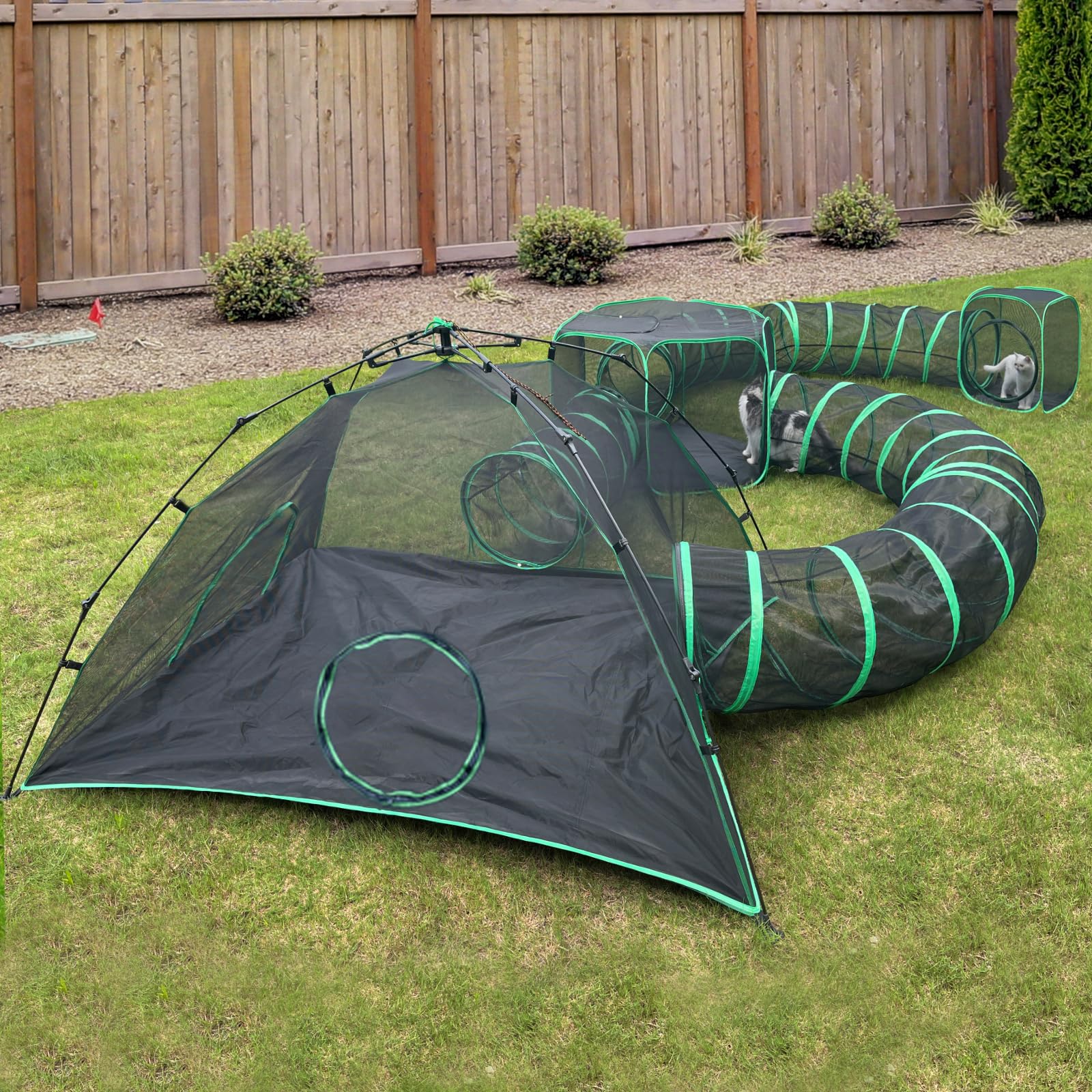 Pawtenda campamento gatos exterior ofrece exploración segura al aire libre.