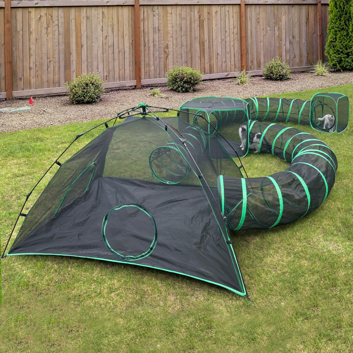 Pawtenda campamento gatos exterior ofrece exploración segura al aire libre.