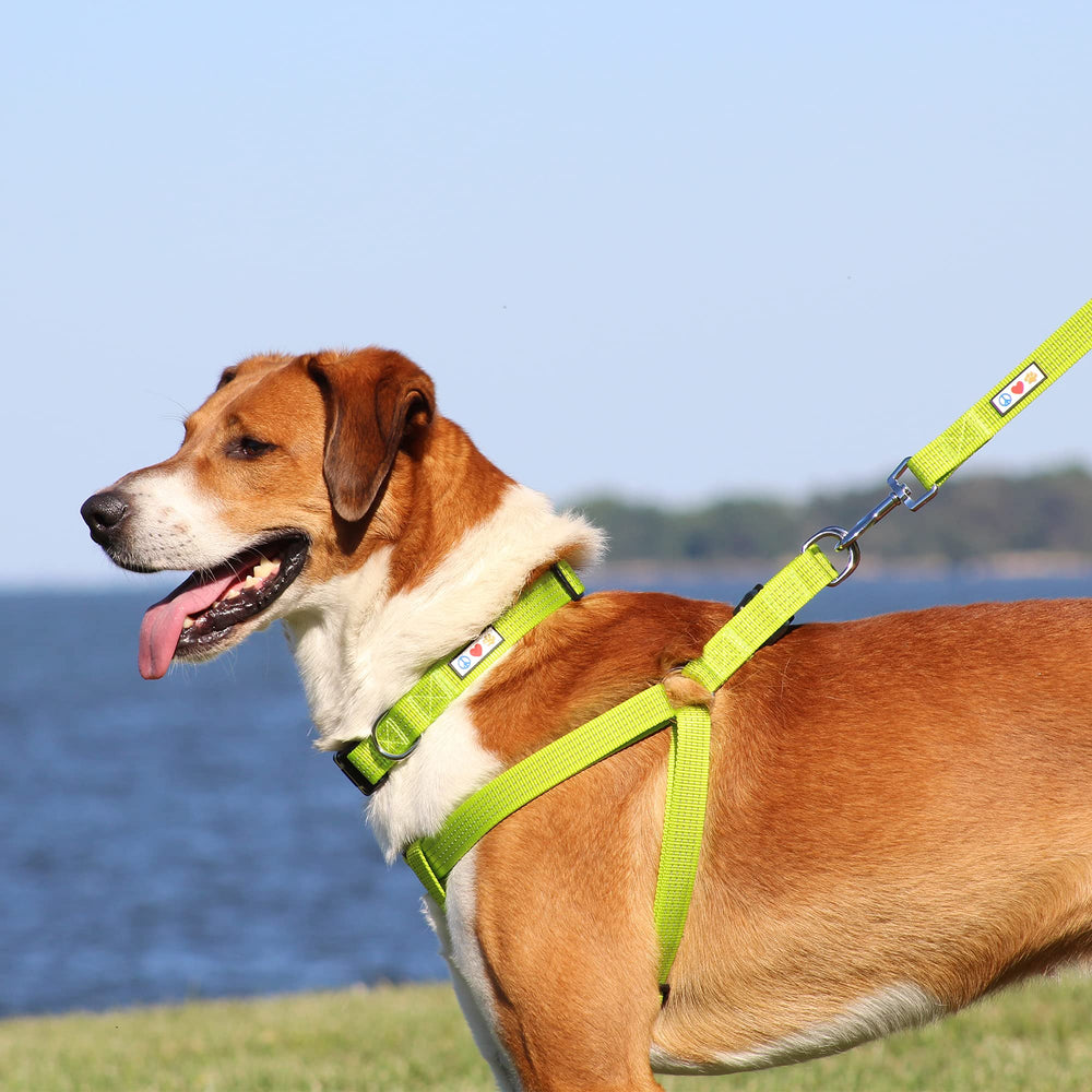 Arnés Pawtitas reflectivo para perros grandes y medianos, movilidad cómoda.