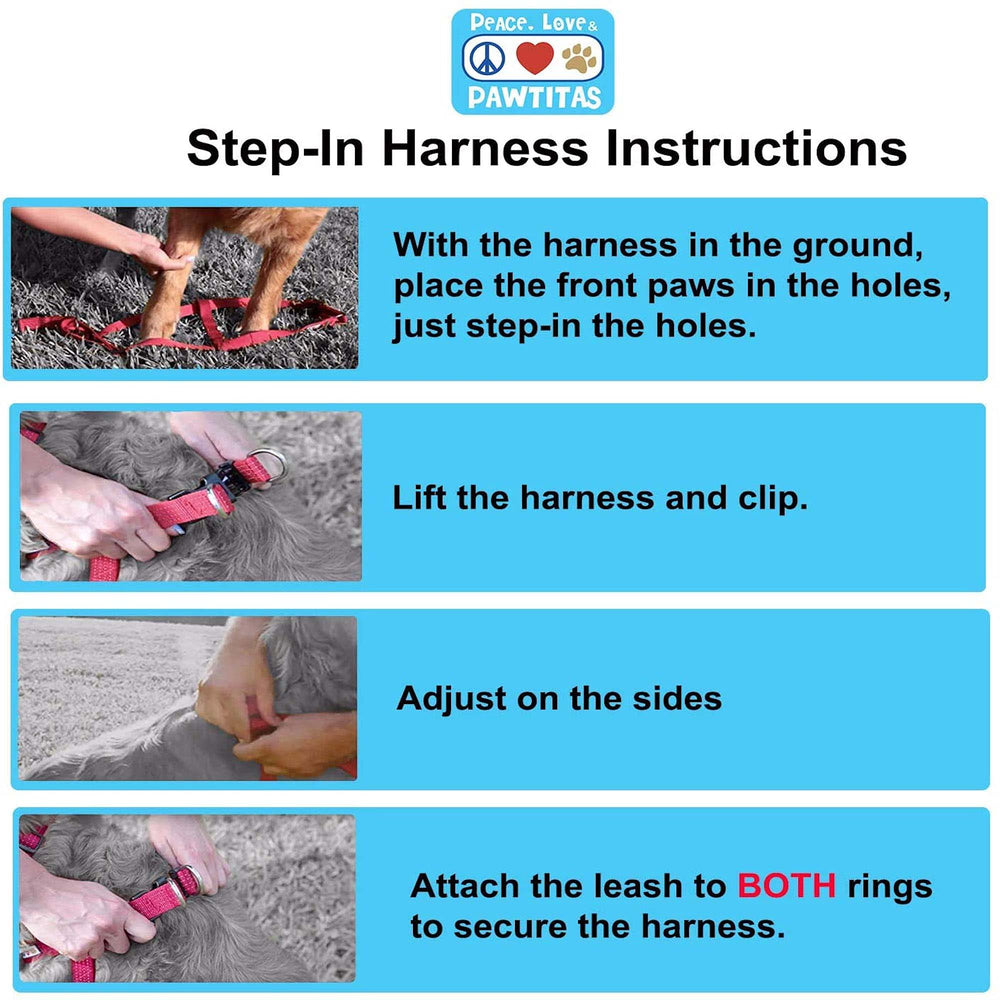 Aviso Pawtitas: el collar de adiestramiento no es para masticar.